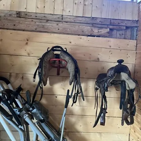 Stallen, The Stable Andoya